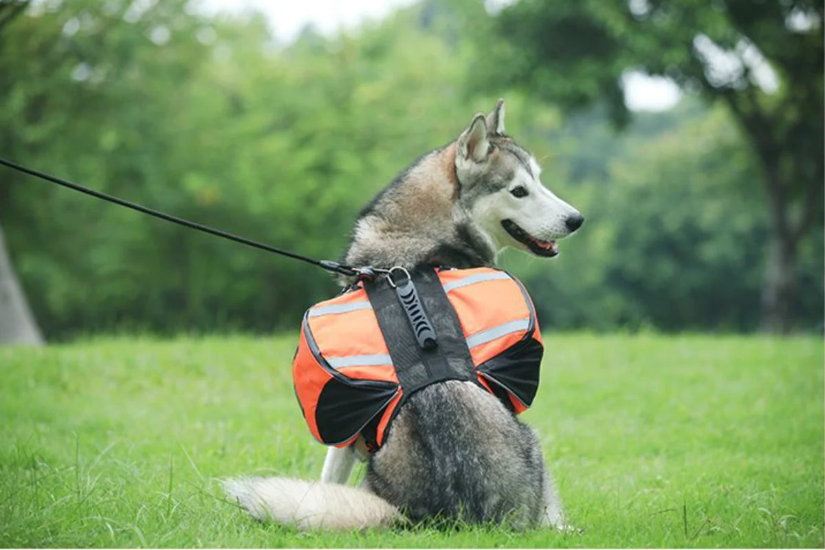 Borwger Outdoor Dog Saddle Backpack – Reflective Adventure Pack