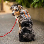 Borwger Retro Dog Backpack – Adjustable Walking & Hiking Pack