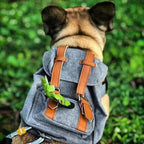 Borwger Retro Dog Backpack – Adjustable Walking & Hiking Pack