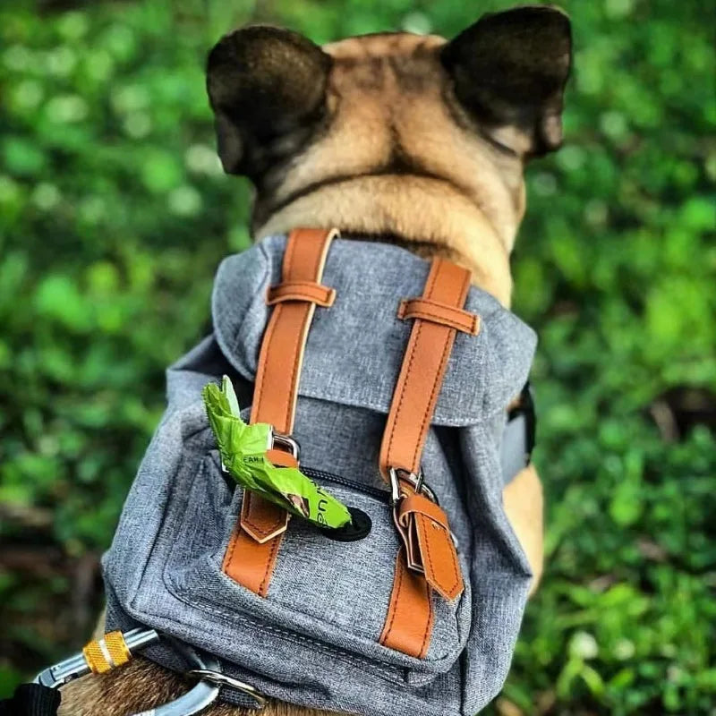 Borwger Retro Dog Backpack – Adjustable Walking & Hiking Pack