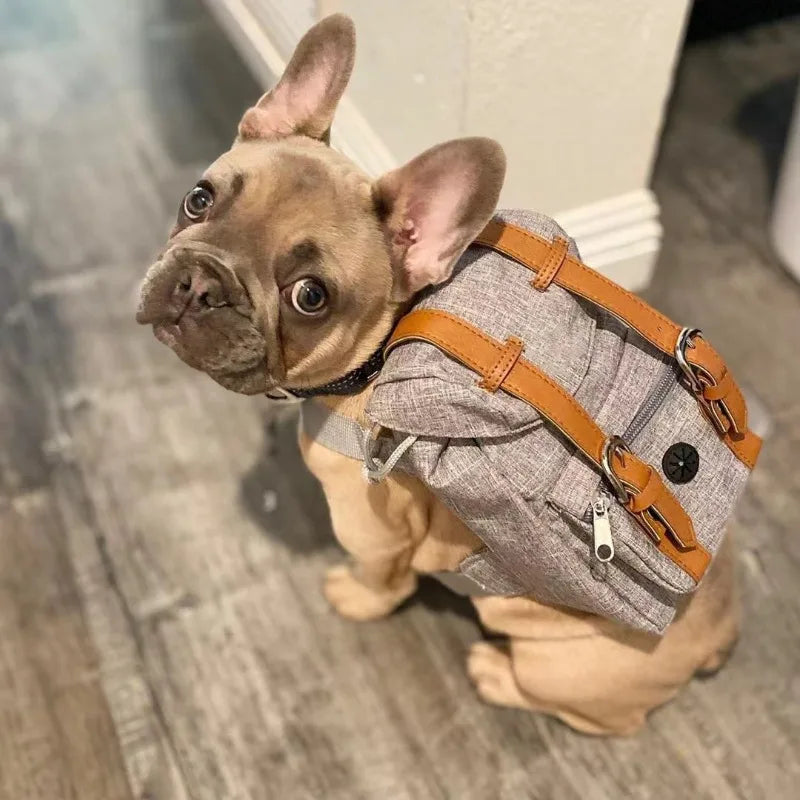 Borwger Retro Dog Backpack – Adjustable Walking & Hiking Pack
