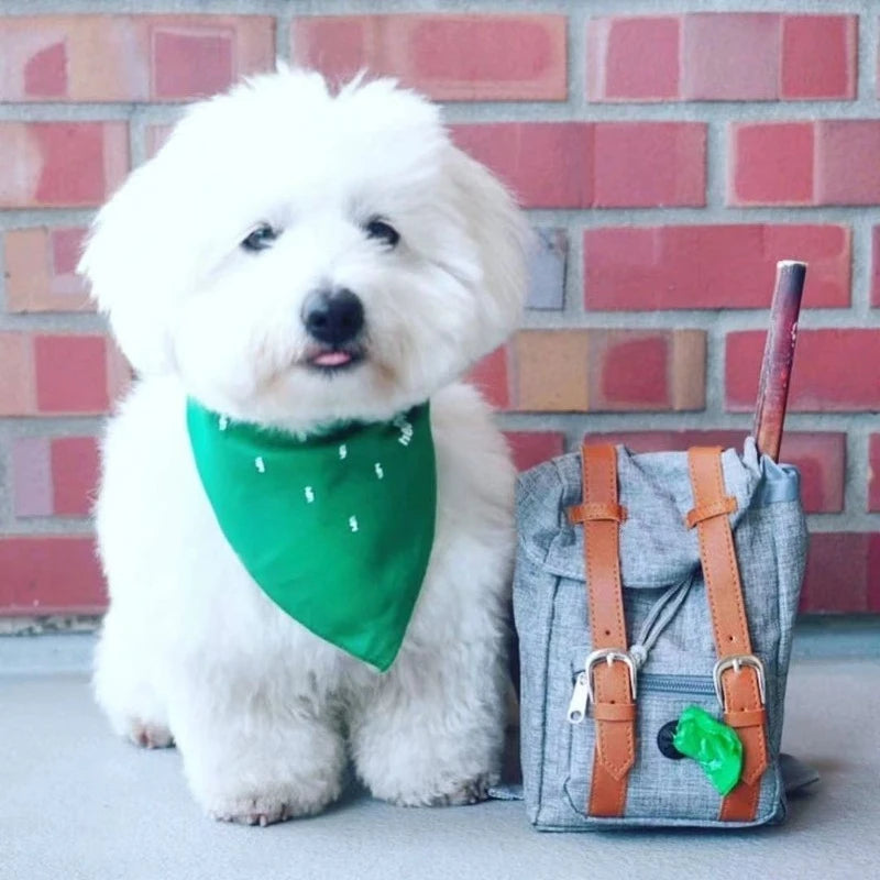 Borwger Retro Dog Backpack – Adjustable Walking & Hiking Pack