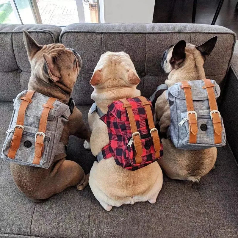 Borwger Retro Dog Backpack – Adjustable Walking & Hiking Pack