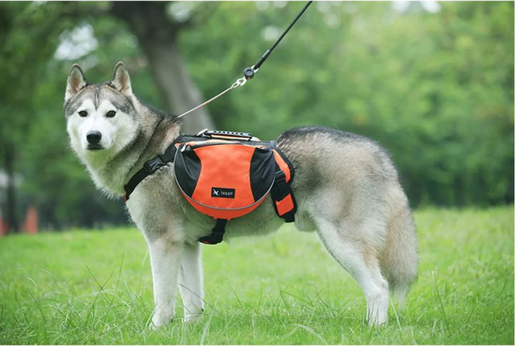 Borwger Outdoor Dog Saddle Backpack – Reflective Adventure Pack