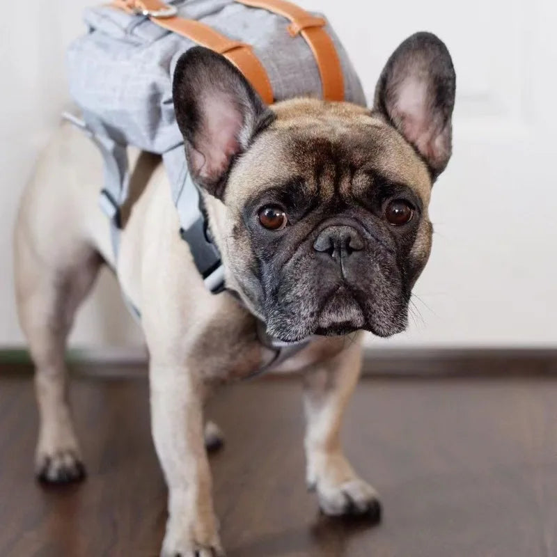 Borwger Retro Dog Backpack – Adjustable Walking & Hiking Pack