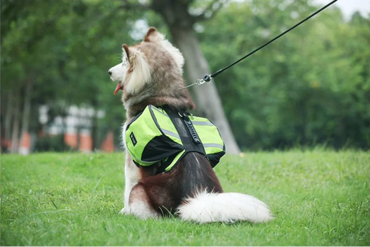 Borwger Outdoor Dog Saddle Backpack – Reflective Adventure Pack
